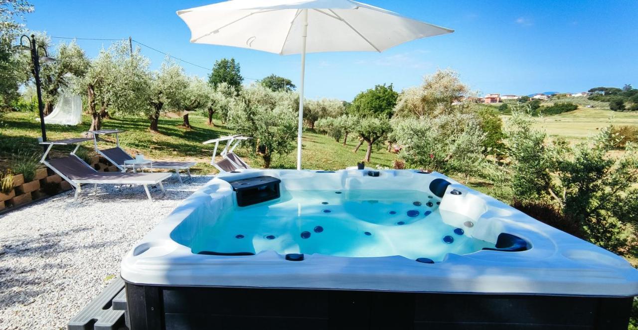 The Olive Grove In Tuscany Toiano エクステリア 写真