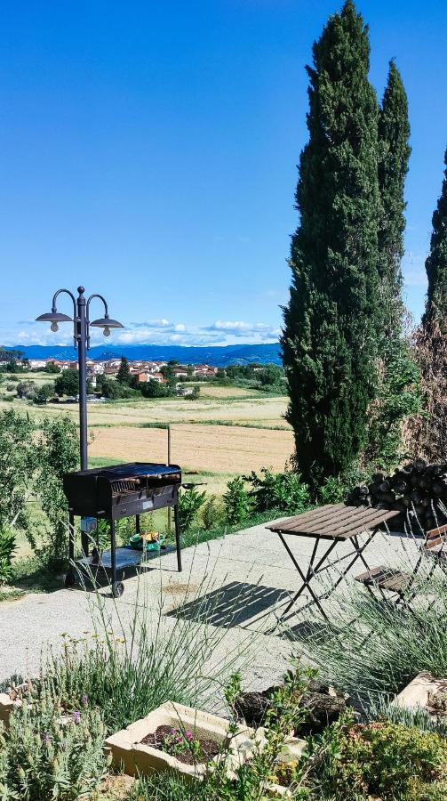 The Olive Grove In Tuscany Toiano エクステリア 写真