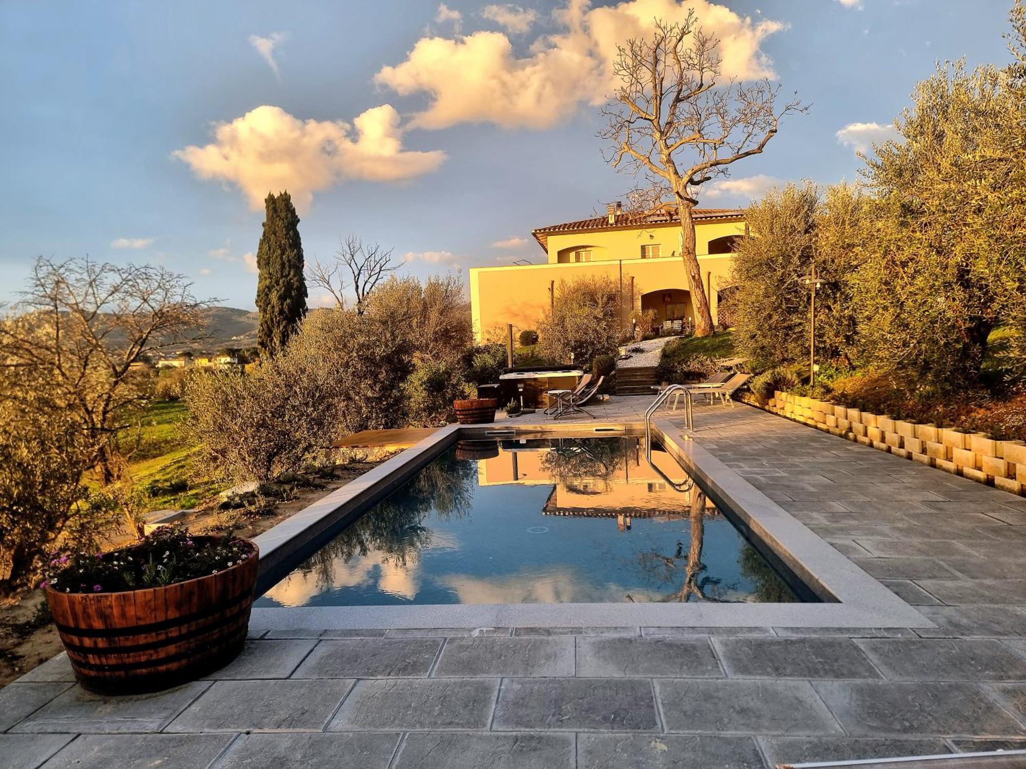 The Olive Grove In Tuscany Toiano エクステリア 写真